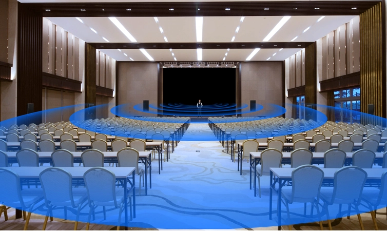 Immersive Audio System Solution para sa Lecture hall