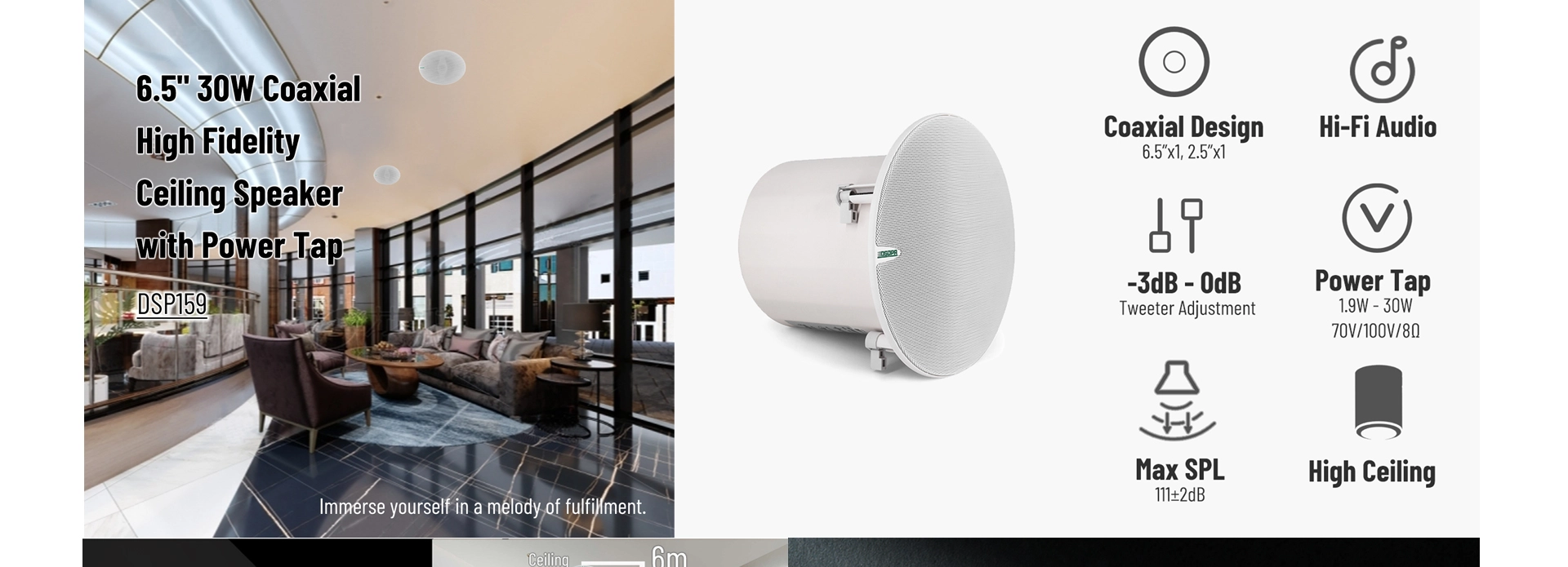 HiFi Coaxial Ceiling Speaker na may Power Tap