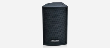 100W Professional Full Range Speaker