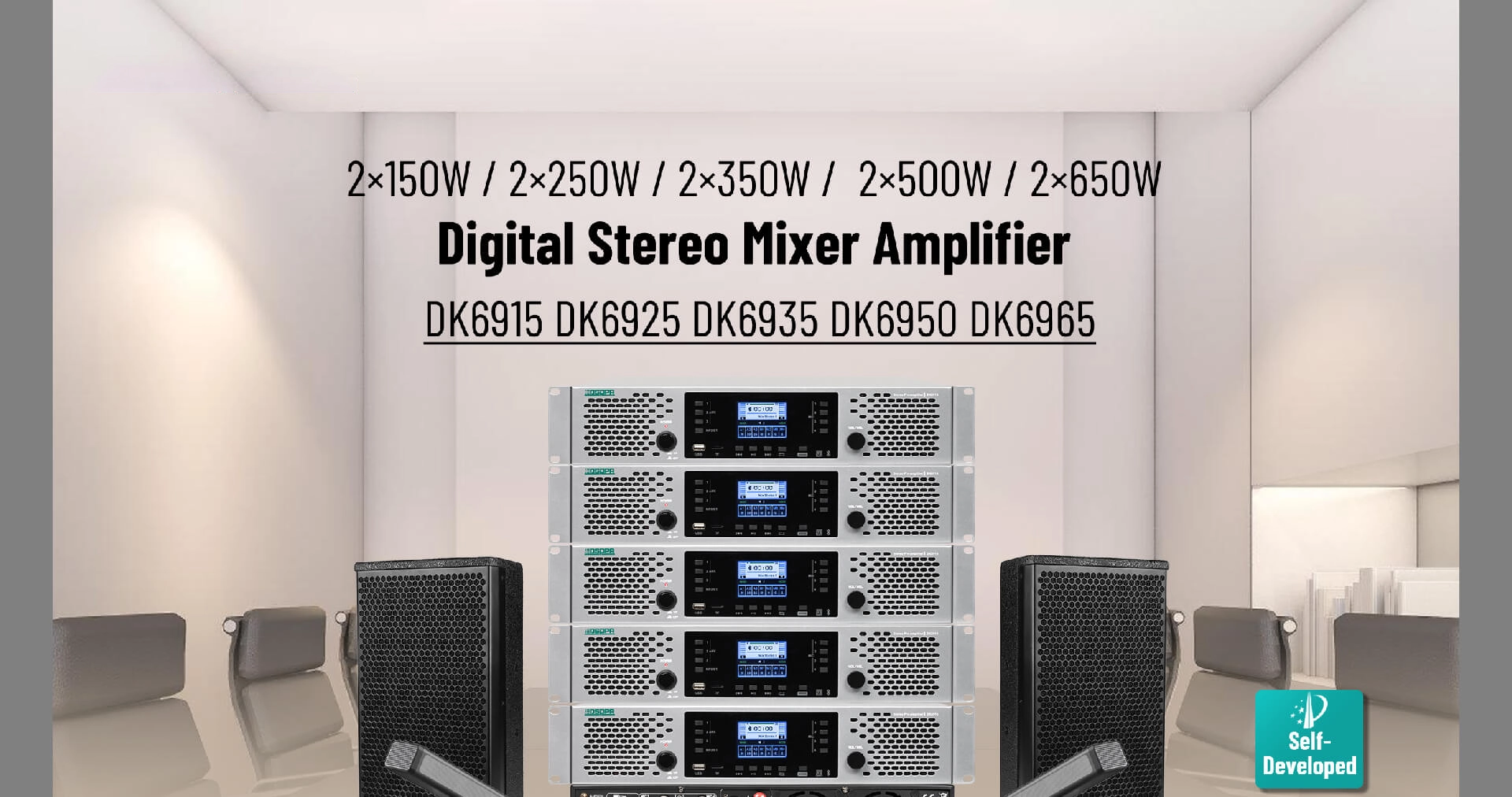 2 × 250W Digital Stereo Mixer Amplifier